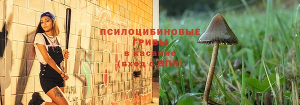 Альфа ПВП Беломорск