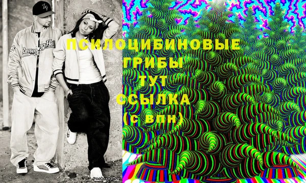 Альфа ПВП Беломорск