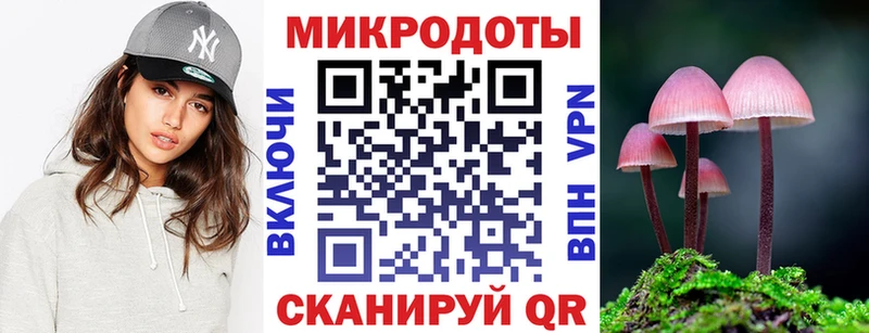 закладки Ессентукская Псилоцибиновые грибы мицелий